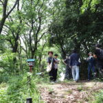 連光寺・若葉台里山保全地域 湿地ツアー