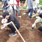 サツマイモ植付＠多摩市農業公園