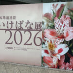 伝統文化の担い手として～「いけばな展2026」に出展　華道家 石川舞さん