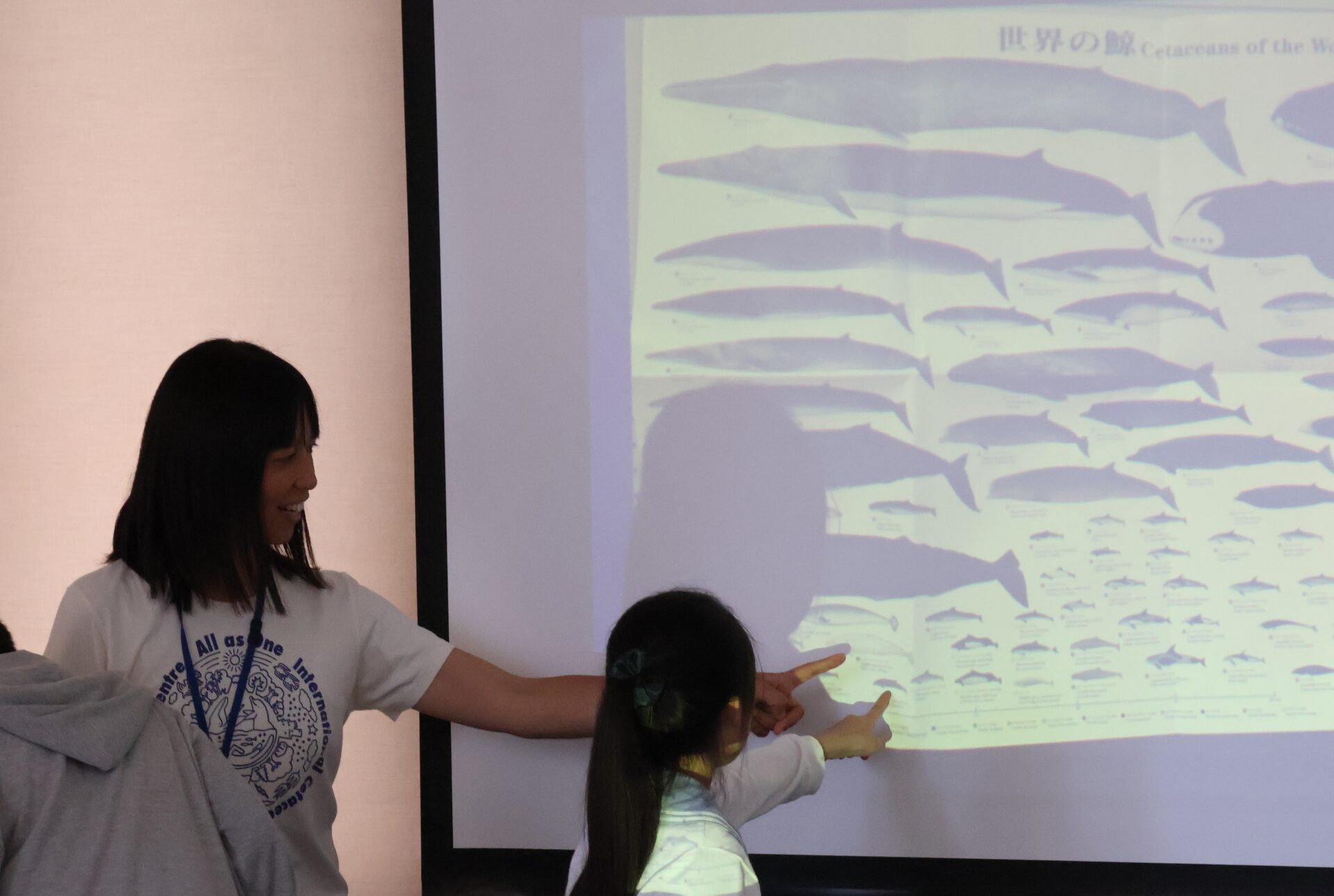 マチカドこども大学®【イルカ・クジラ学】
